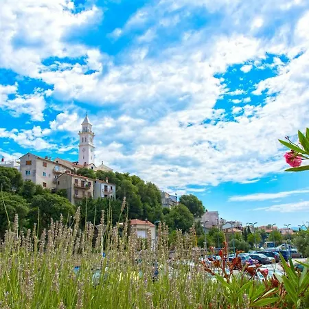 Vito * 诺维·维诺多尔斯基